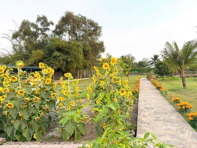 Cần bán 2200m2 nhà vườn nghĩ dưỡng hẻm xe hơi tới nhà 2