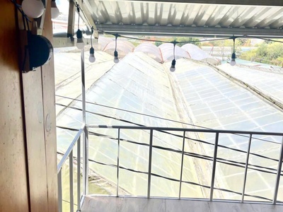 Chính chủ bán nhà gỗ xinh , kim đồng, phường 6 , đà lạt, lâm đồng 2