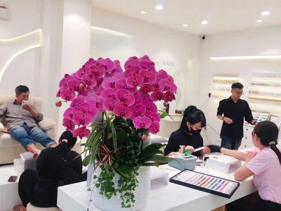 Cho thuê mặt bằng mặt tiền đường Nguyễn Bỉnh Khiêm - góc Lê Duẩn Quận 1. 3