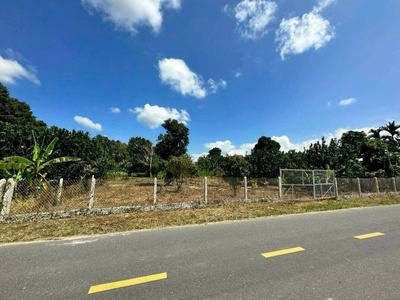 Đất mặt tiền tỉnh lộ 2, xã diên thọ, huyện diên khánh, khánh hòa - đất có sẵn vườn cây trái 0