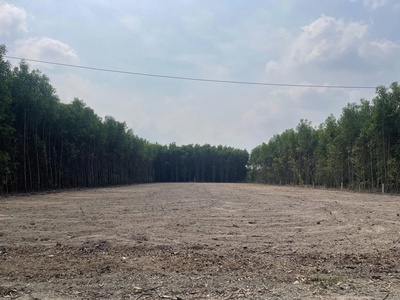 Bán đất khu dân cư phước an nhơn trạch giá rẻ 1