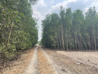 Bán đất khu dân cư phước an nhơn trạch giá rẻ 2