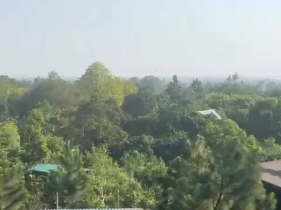 Hơn 14.600m2, mt hơn200m. nguyên quả đồi, 39 tỷ, minh phú, sóc sơn, kd dưới tán rừng. 1