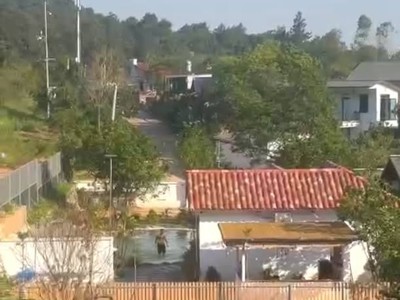 Hơn 14.600m2, mt hơn200m. nguyên quả đồi, 39 tỷ, minh phú, sóc sơn, kd dưới tán rừng. 0