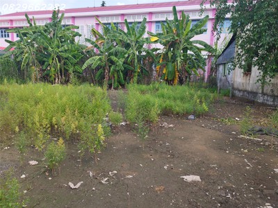 Bán đất thổ cư hơn 500m2 kế bên chợ, p. sa đéc, đồng tháp. giá chỉ 2.6 tỷ. hướng đn. sổ hồng chính 2