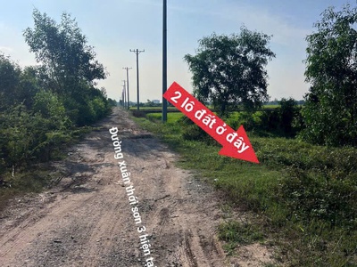 Ra gấp 2 lô liền kề mặt tiền xuân thới sơn 03   sát vành đai 3   1.006m /lô 4