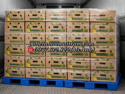  Phân Phối Pallet Nhựa Cũ   Mới Tại Đồng Nai   Giá Rẻ Chỉ Từ 1xx.000đ/Cái, Giao Hàng Tận Nơi   6