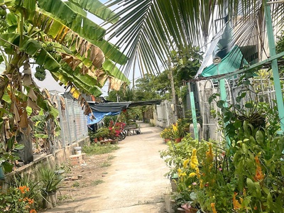 Cần bán 250m2 đất thổ cư hẻm ba gác gần ql1a 1