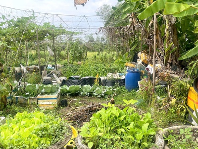 Cần bán 250m2 đất thổ cư hẻm ba gác gần ql1a 2