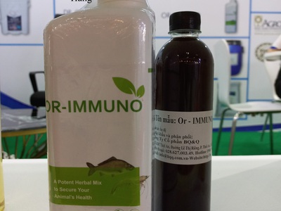 Thảo dược bổ gan Or-immuno, chiết xuất từ tỏi, tăng sức đề kháng cho vật nuôi 3