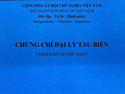 Tuyển sinh lớp Đại lý tàu biển Online - Cấp chứng chỉ chuẩn Cục Hàng hải 0