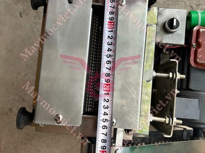 Máy cán thịt 2 lô gai VMT17 giá rẻ 1