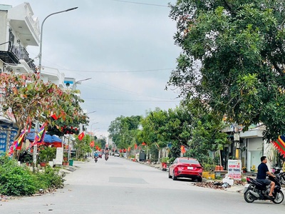 Bán 2 lô đất liền nhau TĐC Đống Chuối, Hùng Vương, Hồng Bàng, Hải Phòng 2