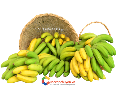Thủ tục xuất khẩu chuối tươi 0