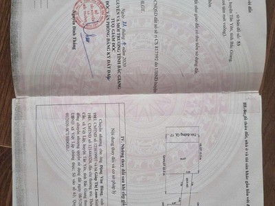 Đất đẹp - giá tốt - vị trí đắc địa tại thôn kim tràng, xã việt lập, huyện tân yên, tỉnh bắc giang 0