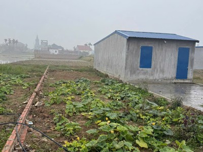 Lô đất 95m2 minh tân kiến thụy - ngõ rộng 5m bám sát ga lc-hn-hp zalo 0567 222 555 1