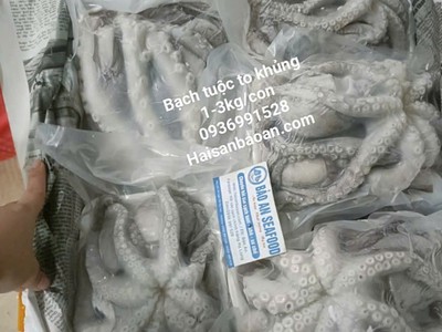 Bạch tuộc tươi ngon giòn ngon 0