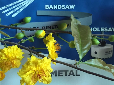 Lưỡi cưa vòng ALFA 2