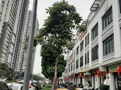 Bán nhà mặt phố hàm nghi vinhome gardenia 2