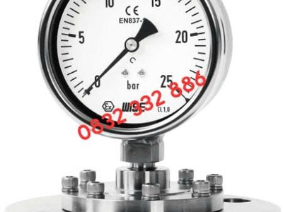 Đồng hồ áp suất màng Wise P730 Dantek chất lượng cao tại Hải Phòng 0