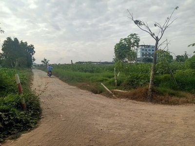 Đất 3mt 1/ ql22, tân hiệp, hóc môn  5.000m   ngay trường lái   vành đai 3 2