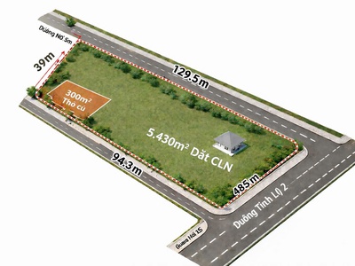 Gấp bán 3 mặt tiền tỉnh lộ 2   gần 6.000m    sát cao tốc   vành đai   chỉ 50 tỷ 4