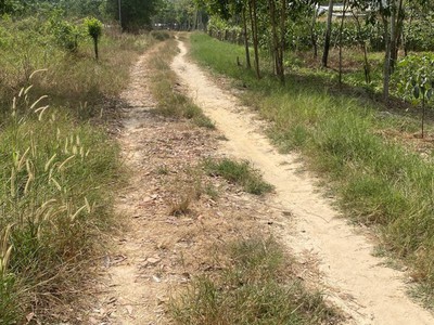 Bán 2 lô đất nằm liền kề, diện tích lớn phù hợp đầu tư, xây kho xưởng, kinh doanh, nhà vườn 1