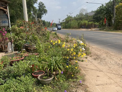 Bán 2 lô đất nằm liền kề, diện tích lớn phù hợp đầu tư, xây kho xưởng, kinh doanh, nhà vườn 3