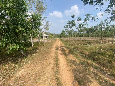 Bán 2 lô đất nằm liền kề, diện tích lớn phù hợp đầu tư, xây kho xưởng, kinh doanh, nhà vườn 4