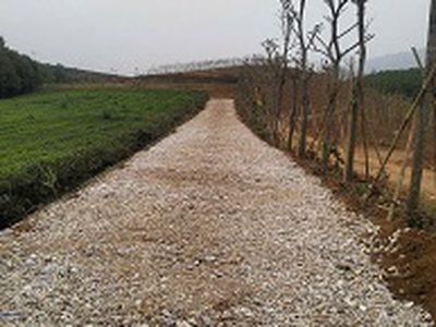 Bán đất nghỉ dưỡng thanh sơn - phú thọ 4