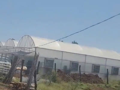 Bán nhà vườn 1000m2  đức trọng   lâm đồng - giá 3 tỷ 250 triệu 0