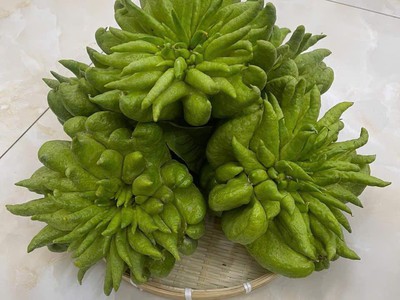 Nhà vườn cường thảo, cạnh cầu phùng đan phượng hà nội - 0981343223 2