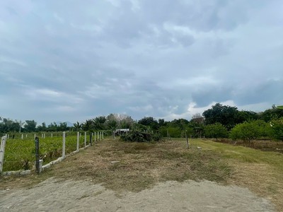 Chủ cần để lại lô đất đẹp nở hậu xã diên bình - diên khách thổ cư 100 1