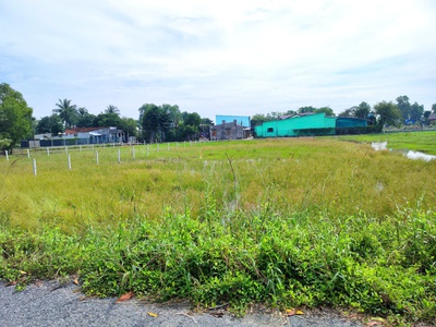 Cần bán 1000m2 đất vườn 2 mt đường láng cát 2