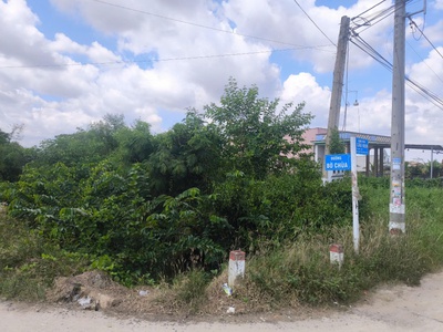 Bán đất nông nghiệp   đường bờ chùa, xã phước lý, huyện cần giuộc, long an 1