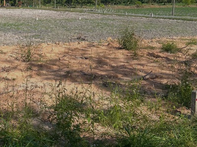 Bán đất giá tốt vị trí đẹp, sinh lời cao 1