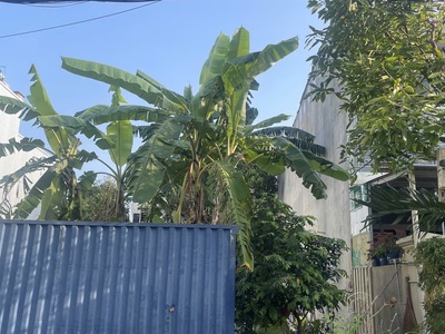 Bán đất mặt tiền đường Thích Thiện Chiểu, Sơn Trà, Đà Nẵng 0