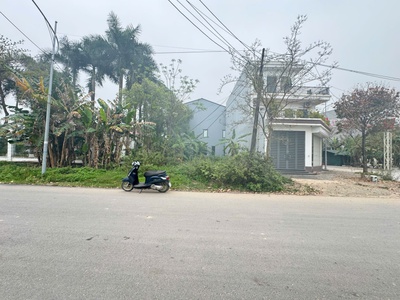 Bán đất phân lô mặt phố Hoàng Hoa Thám, Đồng Tâm, Vĩnh yên, Vĩnh Phúc 3