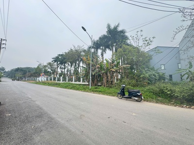 Bán đất phân lô mặt phố Hoàng Hoa Thám, Đồng Tâm, Vĩnh yên, Vĩnh Phúc 4