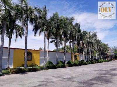 Cho thuê nhà xưởng CCN Bình Chánh 60.000m 0