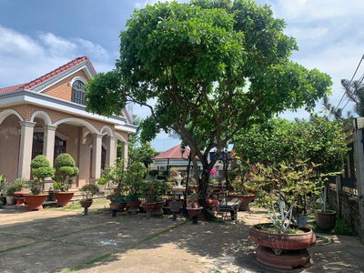 Biệt thự đẹp long thành   chủ đi mỹ cần bán gấp 2
