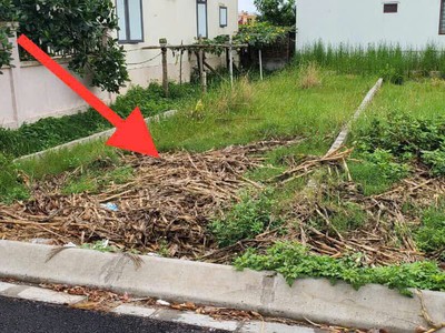 Giá 1.3xx tỷ đất nền bàng la - đồ sơn - đường nhựa ô tô tránh - zalo 0567 222 555 2