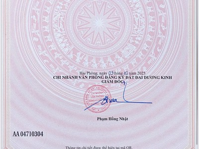 Đường thông 10m cực hiếm tại tân thành - zalo 0567 222 555 3