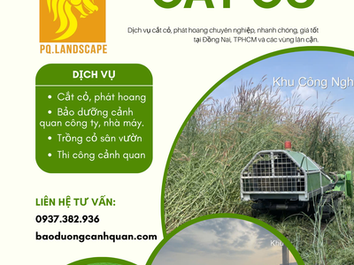 Dịch Vụ Cắt Cỏ Chuyên Nghiệp giá rẻ ở Đồng Nai 0