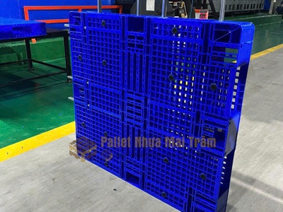  Thanh Lý Pallet Nhựa Cũ   Mới   Chất Lượng Cao   Giá Rẻ - Bao Vận Chuyển Tại Sóc Trăng 4
