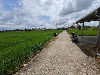Bán đất lúa chuyển thổ xã vàm cỏ gần quốc lộ 50b giá 3,8 tỷ 3