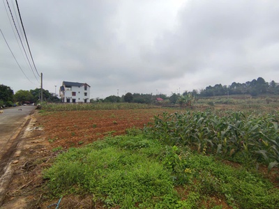 Đất tái định cư đồng doi   điểm sáng đầu tư gần đhqg hà nội 0