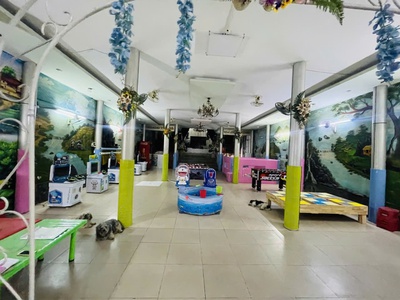 Bom tấn mặt tiền kinh doanh tây lân ngay chợ mỹ nga 350m2 -1 hầm 2 tầng 28 tỷ 4