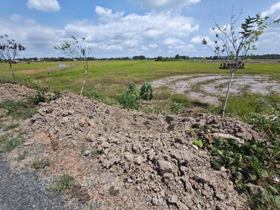 Bán đất lúa mặt tiền nguyễn hoàng anh giá 6 tỷ 2