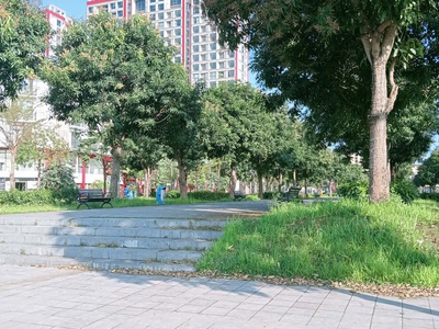  giữa ngọc thụy nhộn nhịp, chỉ 20 tỷ 500 triệu có một căn nhà đáng để xem và mua, 0